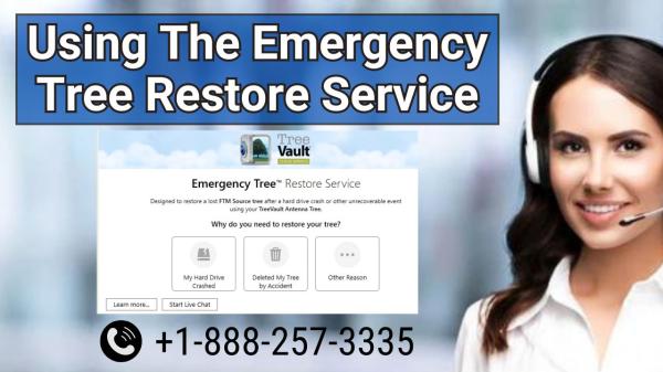 Using The Emergency Tree Restore Service