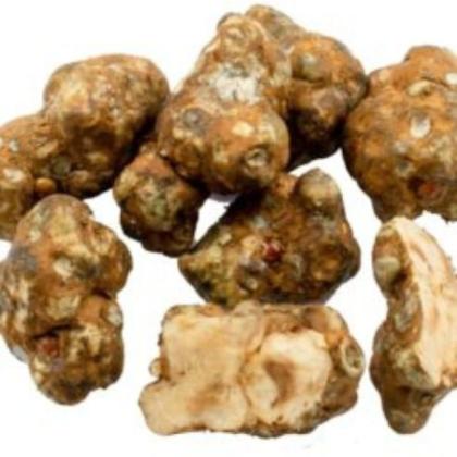 Where can I buy magic truffles in the US?