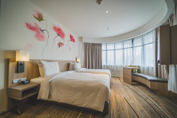 Your Ultimate Guide to Picton Accommodation Find Your Dream Stay