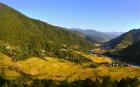 Amen Bhutan Tours