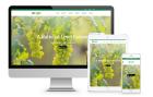 Customized Website Design and Development – Your Vision, Our Expertise