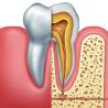 DB Dental Care