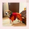 Dog Raincoat with Tail and Legs Pocket