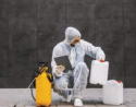 Eco-Friendly Pest Control in Georgia
