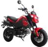 Experience the Thrill of the Open Road with the Ice Bear Motorcycle