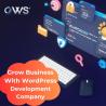 Grow Business With WordPress Website Development Company India