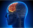 Improve Cognitive Function with These Brain Health Tips