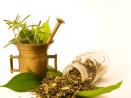 Natural health in San Mateo, Ca