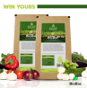 Non-Chemical Fertilizers: Sustainable Alternatives for Modern Agriculture