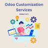 open erp custom module development,