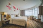 Your Ultimate Guide to Picton Accommodation Find Your Dream Stay