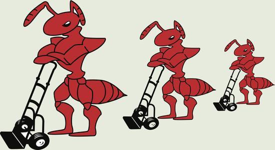 Antz Movers