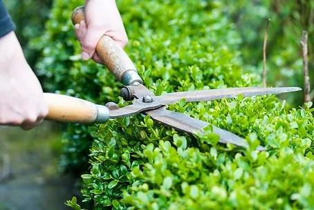 Best Landscaping Services in Etobicoke Mississauga and Torronto : Hire Us Now