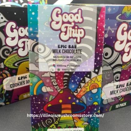 Buy Good Trip Mushroom Chocolate Bar Online