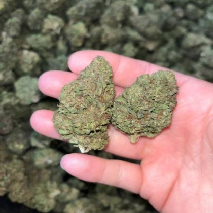 Buy Platinum Kush Online | Californiapressureexoticz.com