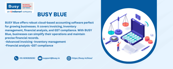 Cloud BUSY Blue Accounting Software for Effortless Accounting