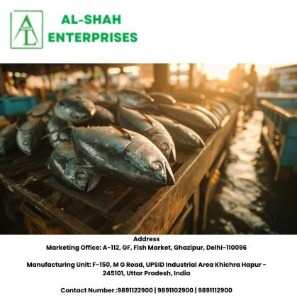 Fish Suppliers | AL-SHAH ENTERPRISES
