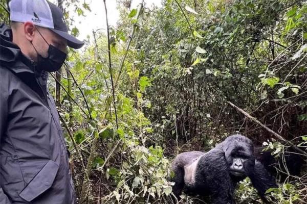 Gorillas & Wildlife Safaris Uganda Rwanda