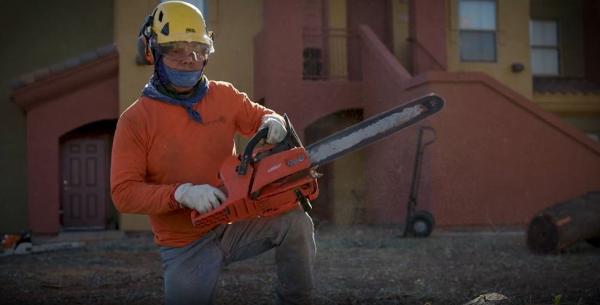 King's Tree Services