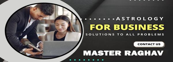 Master Raghav is a highly regarded Indian astrologer in the USA