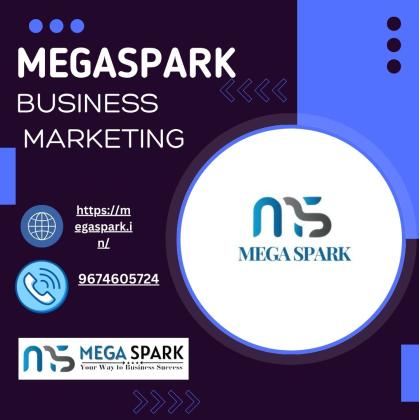 Mega Spark is among the best digital market companies in India.