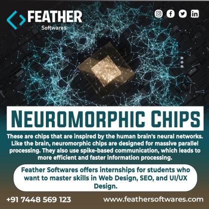 Neuromorphic Chips