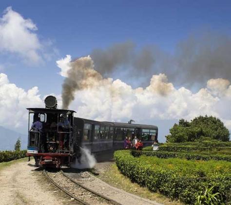 North Bengal Tour Operator in Kolkata