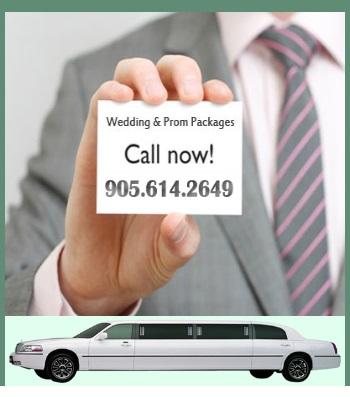 Party Bus Rental Hamilton