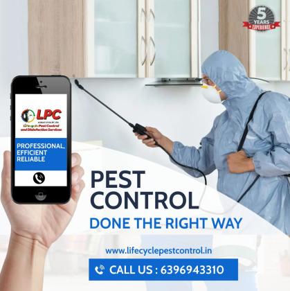 Pest control in pune