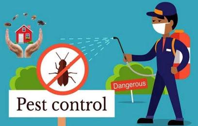 Pest control in pune