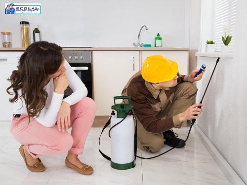 Reliable Termite Treatment in San Diego - Call for Free Quote