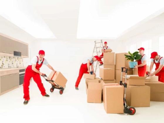 Relocate Stress-Free with Expert Packers and Movers!