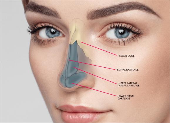 Rhinoplasty Surgery in Baner, Pune | Clinique Internationale