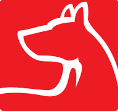 Sit Means Sit Dog Training - Middle Tennessee