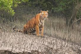 SUNDARBAN GROUP TOUR PACKAGE