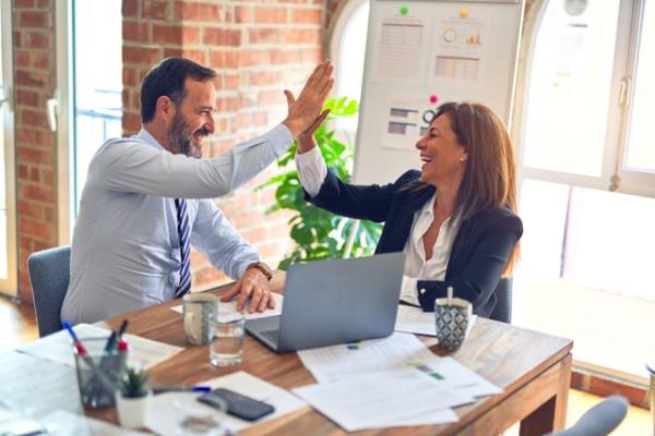 The Key Information for Investors and Startups about the Dutch Company Register