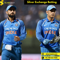 Unlock Success with Silver Exchange Betting Platform