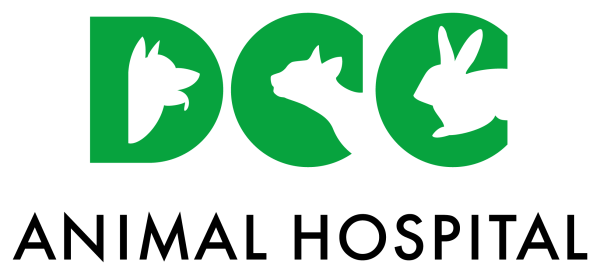 Veterinary Hospital in Noida - DCC Animal Hospital