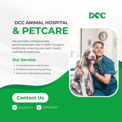 Veterinary Hospital in Noida - DCC Animal Hospital