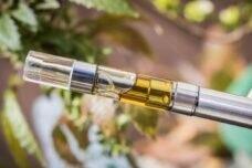 Wild Glow Cannabis Company