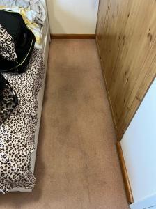 Superior Cleaning Services Near Limassol: Professional General Cleaning for a Clean Space