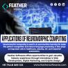 Applications of Neuromorphic Computing