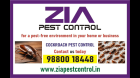 Bedbug pest control for Paying Guest | Restaurant | Lodge|  | 1851