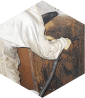 Bee Removal in Carlsbad