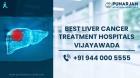 Best Liver Cancer Treatment Hospitals in Vijayawada  | Punarjan Ayurveda