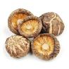 Buy Magic Mushrooms Online