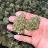 Buy Platinum Kush Online | Californiapressureexoticz.com