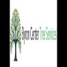Byron Center Tree Services