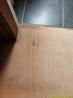 Carpet Cleaning Motherwell