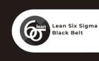 Elevate Your Career with six sigma black belt certification